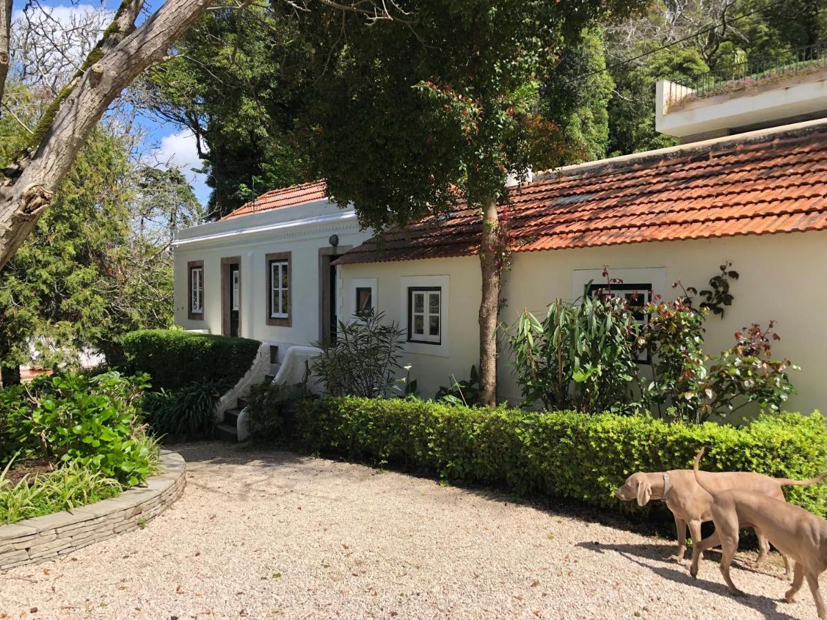 Luxurious Royal Estate In Historic Sintra Paradise 외부 사진